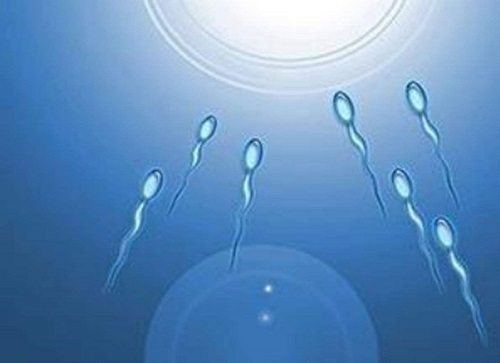 src=http___pic1.zhimg.com_v2-4c26e106e981bbbaf15608c3211cf5aa_1440w.jpg_source=172ae18b&refer=http___pic1.zhimg.jpg